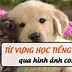 Học Tiếng Anh Qua Hình Ảnh Pdf