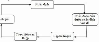 Mục Đích Của Quy Trình Điều Dưỡng