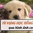 Từ Vựng Tiếng Anh Bằng Hình Ảnh Pdf